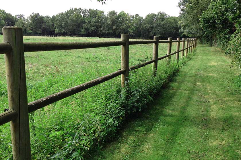 cloture en rondin de bois