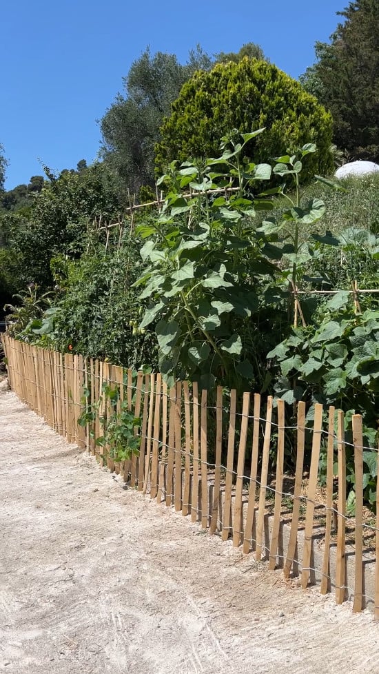 100% naturelle et durable, la ganivelle en châtaignier fait fureur dans les jardins !