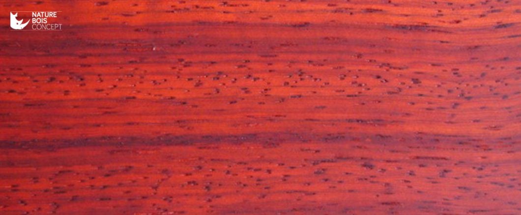 essence padouk bois exotique NBC