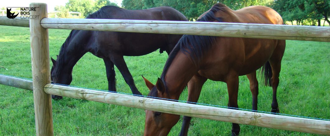 clôture en bois avec chevaux